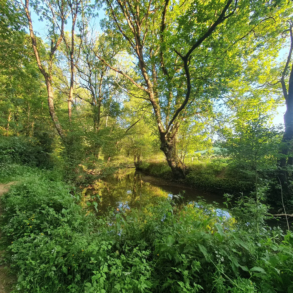 Trail Coupeau-Vicoin 012