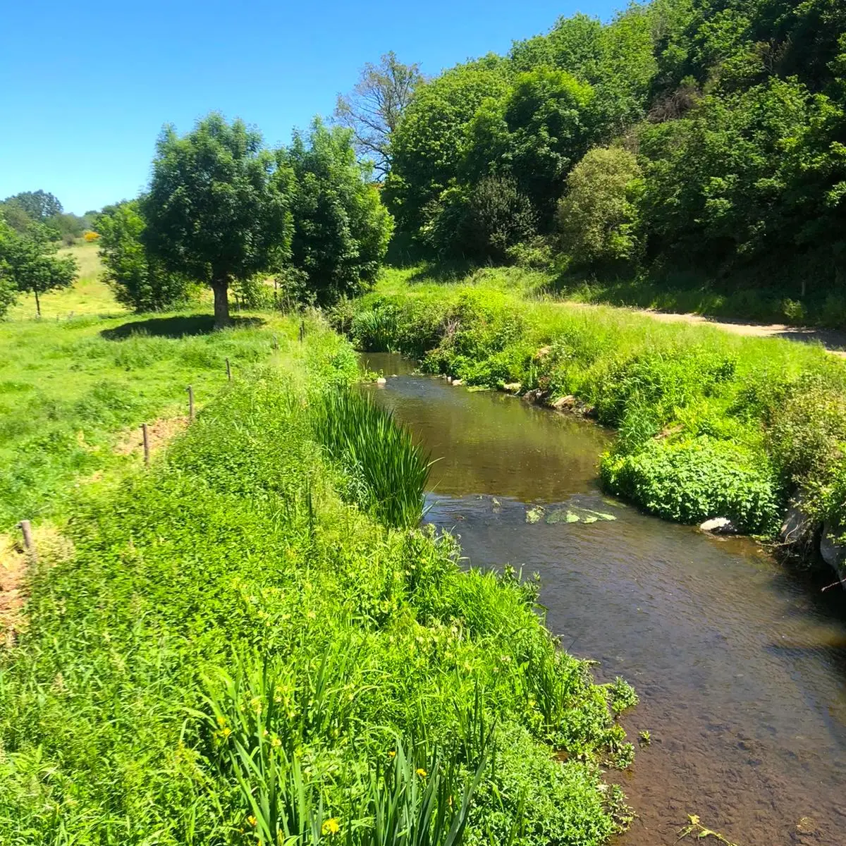 Sur la voie romaine - Trail