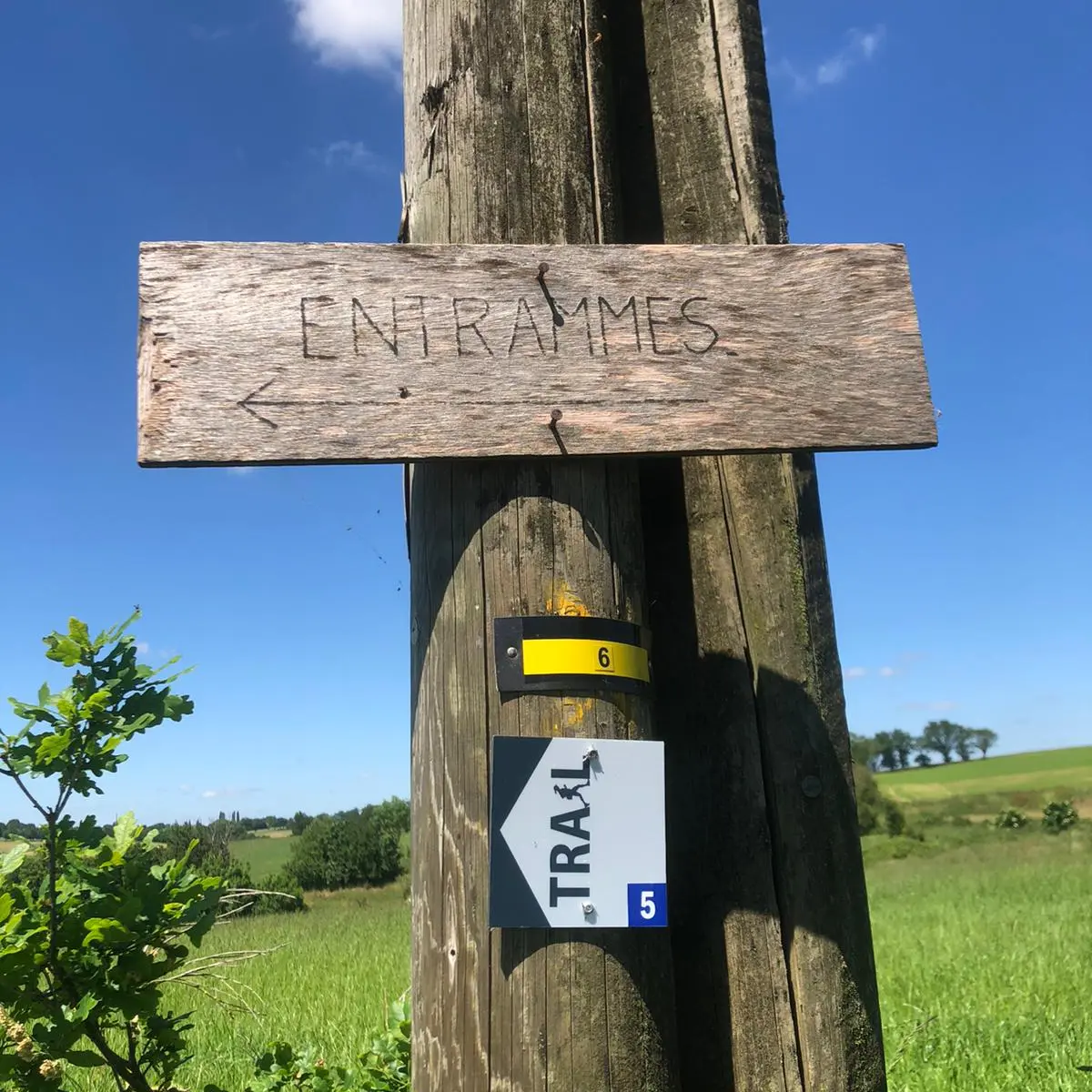 Trail signalétique