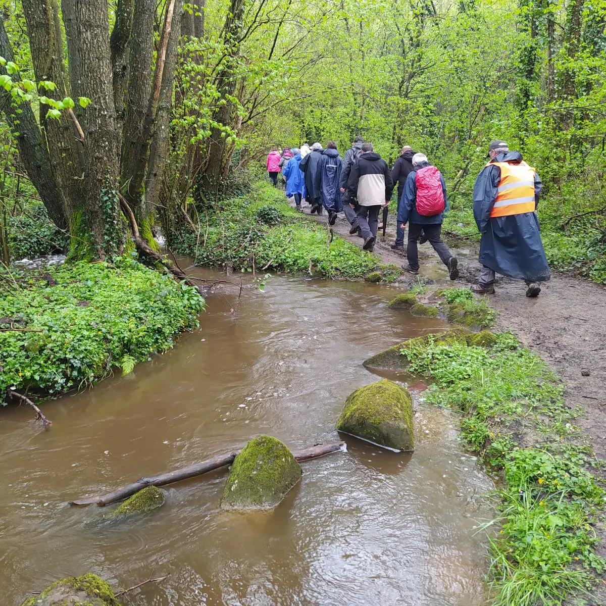 Vallée du Moulin du pré - Landivy 53 © Bocage Mayennais - 43