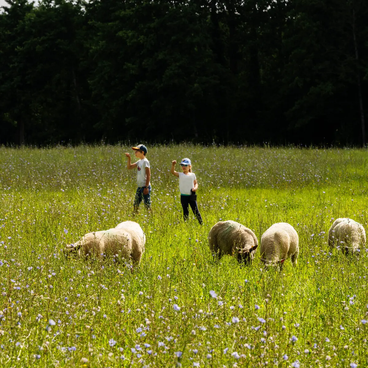 Villette_en_Direct-CP-Pascal_BELTRAMI_-_Mayenne_Tourisme-10151-1920px