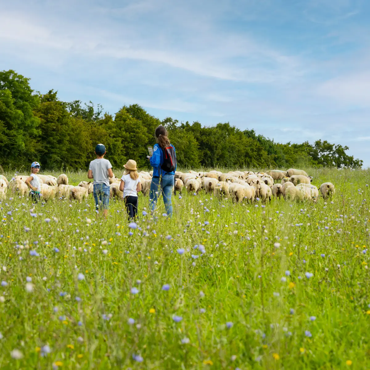 Villette_en_Direct-CP-Pascal_BELTRAMI_-_Mayenne_Tourisme-10152-1920px