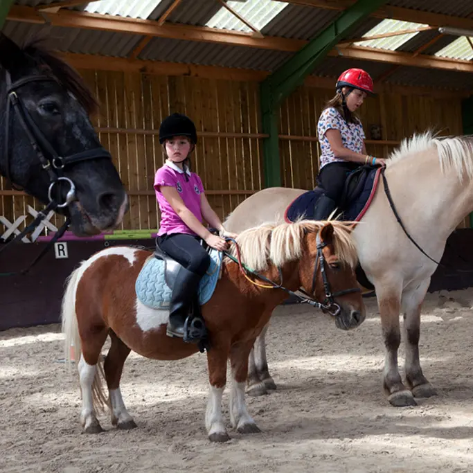 centre-equestre-ambrieres-les-vallees-53-asc-2