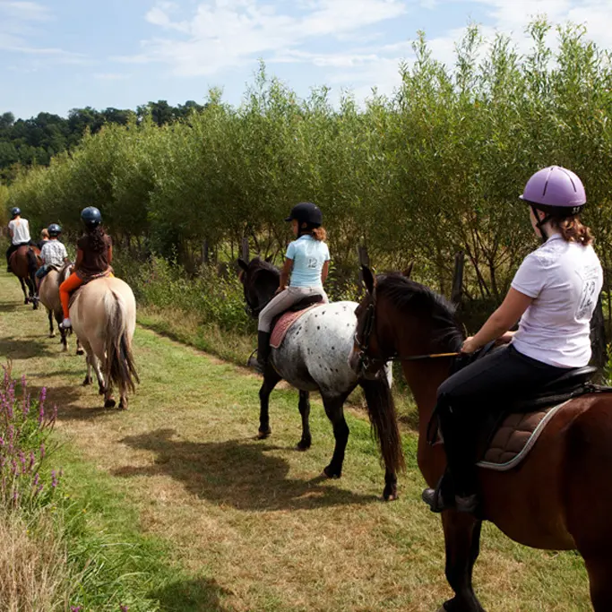 centre-equestre-ambrieres-les-vallees-53-asc-3