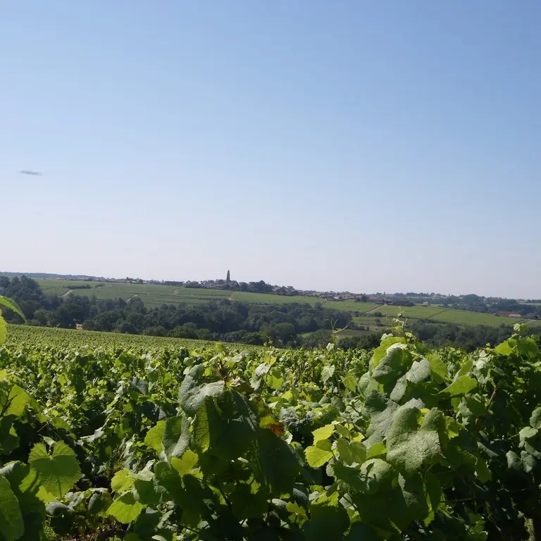 circuit-boucle-sevre-coteaux-la-haye-fouassiere-44-ITI (2)