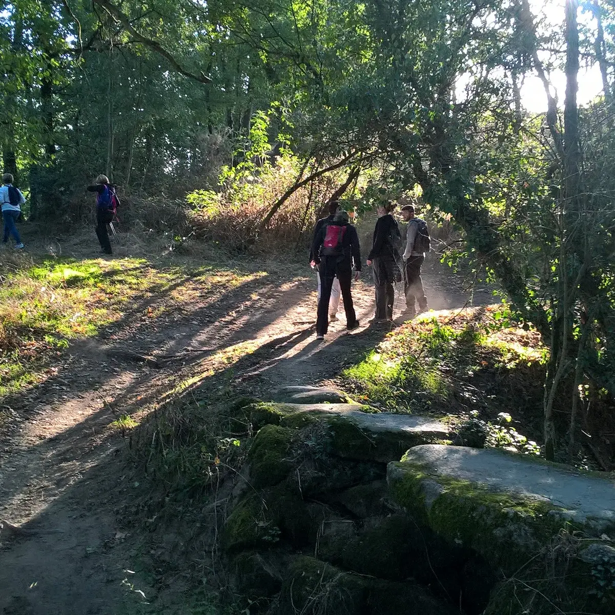 circuit des rochers boussay (2)