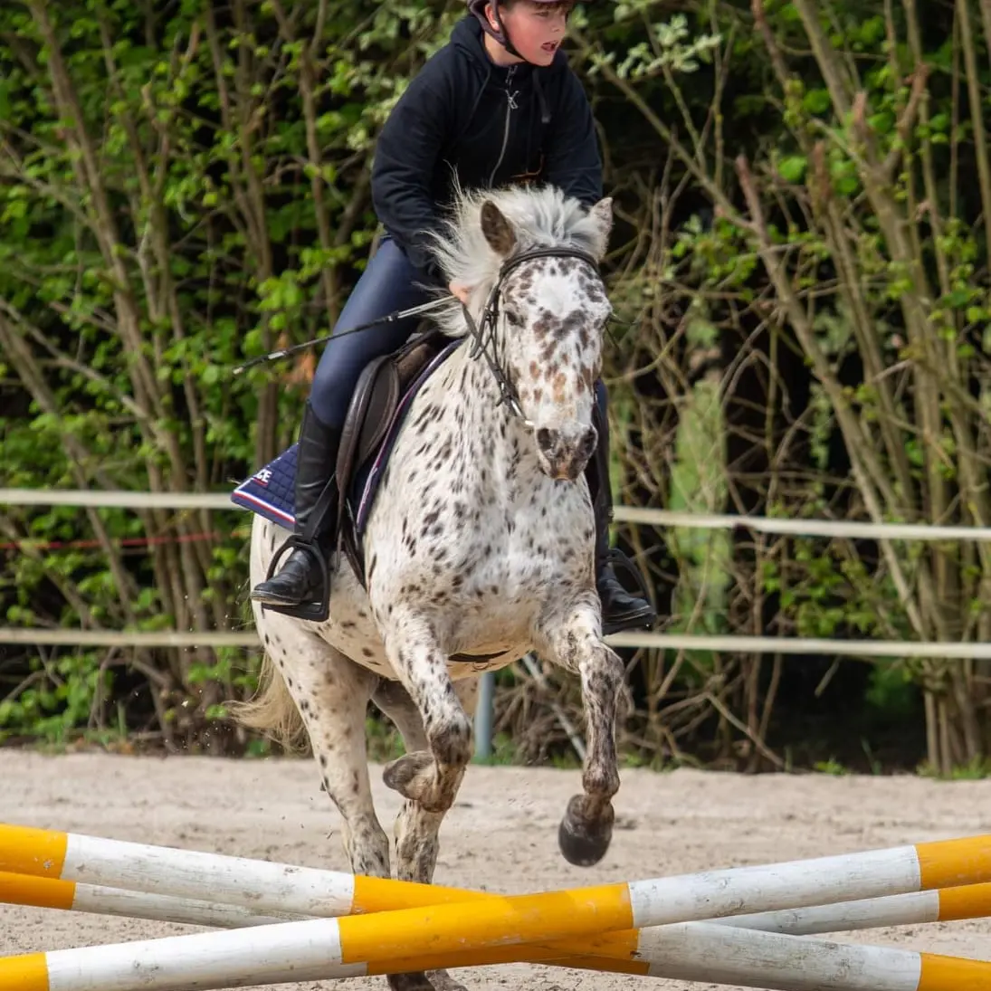 Centre Equestre du Haut Fèvre