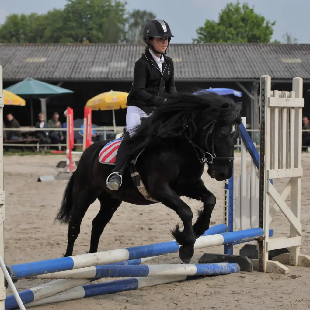 Centre Equestre du Haut Fèvre