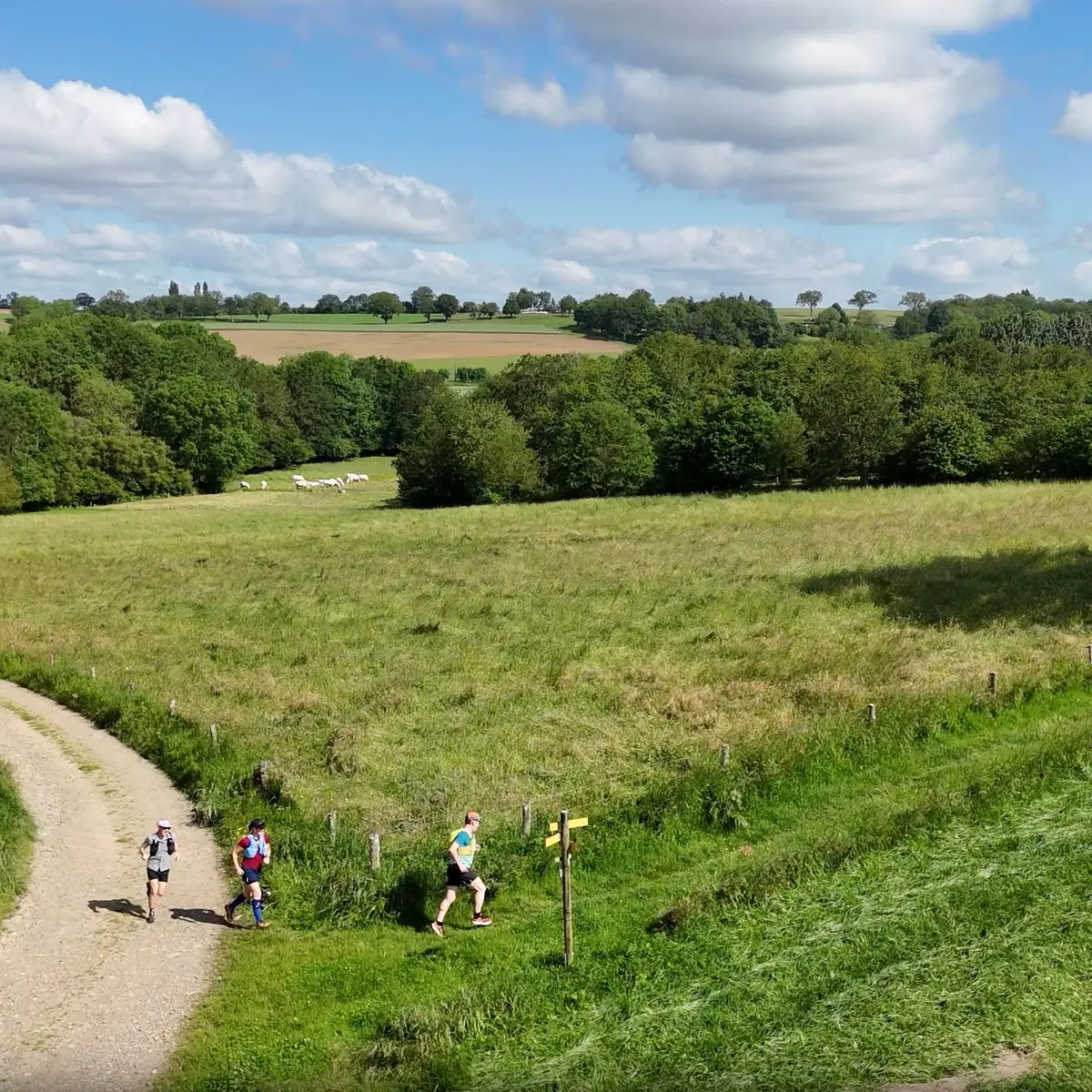 Sur la voie romaine - Trail