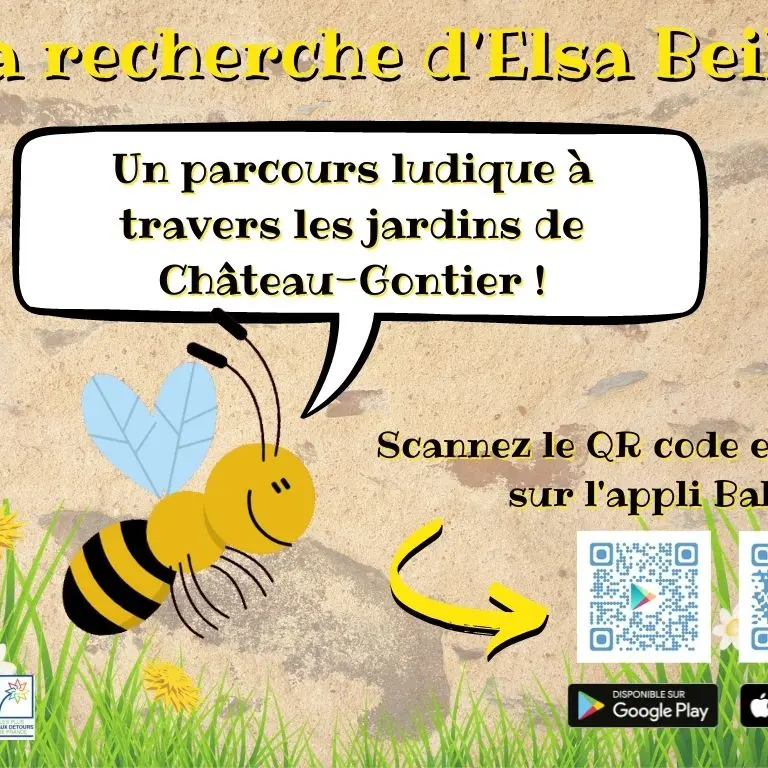 A la recherche d'Elsa Beille !