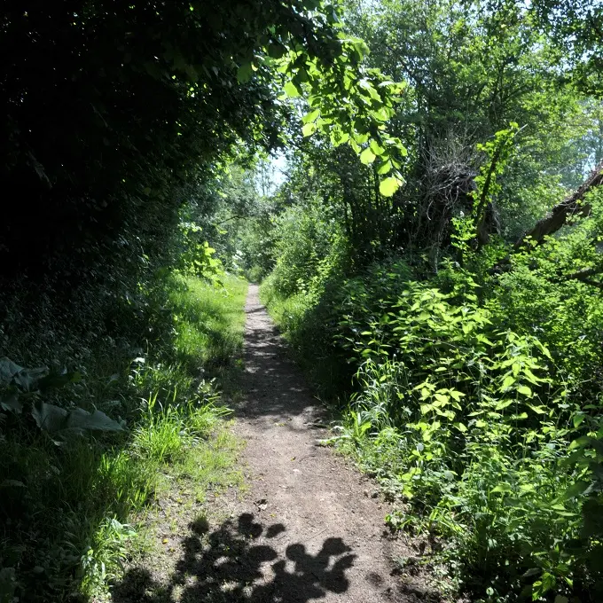 bena-balades-en-nature-accompagnée-sevremoine