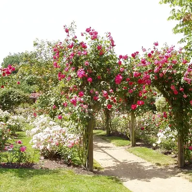 Une journée avec Paulette