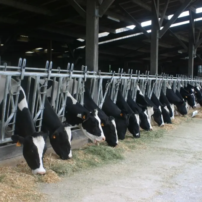 ferme pedagogique la pequiniere la boissiere