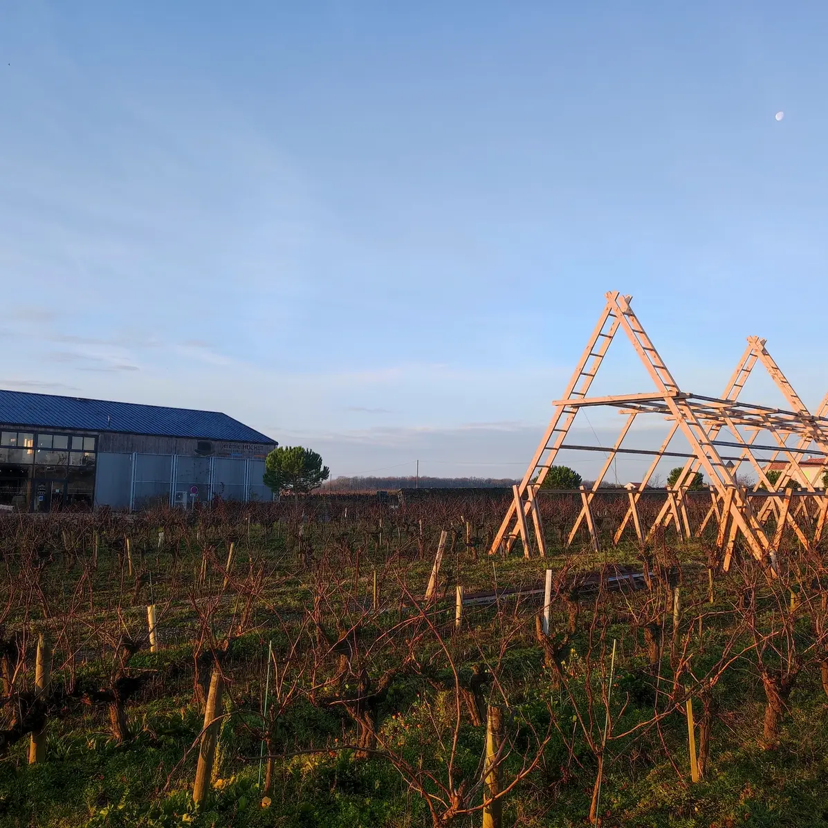guinguette la huchette chateau thebaud (1)