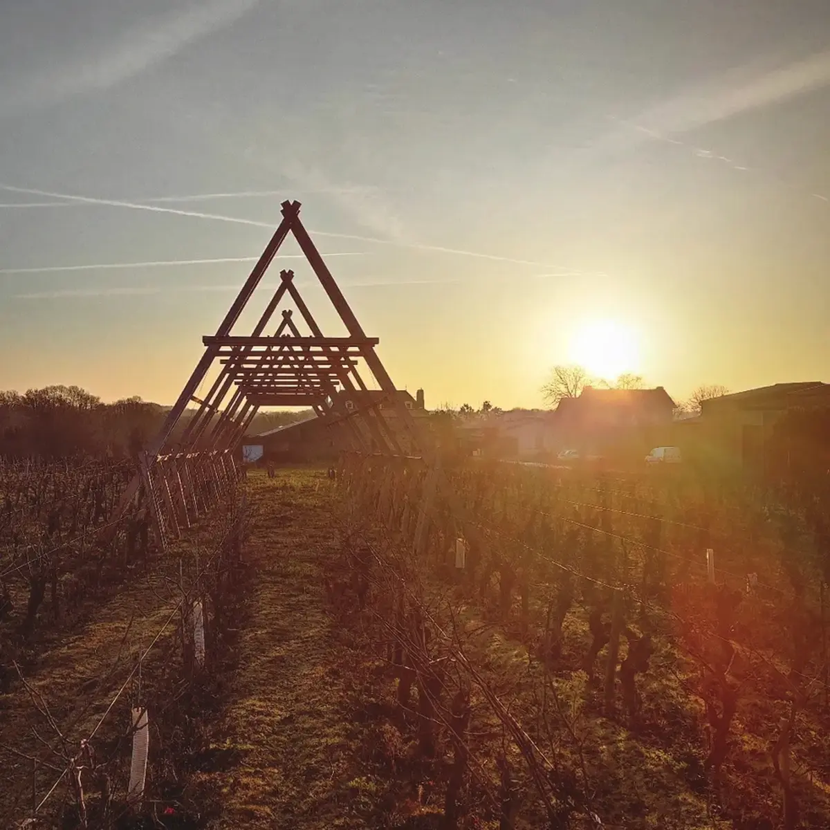 guinguette la huchette chateau thebaud (2)