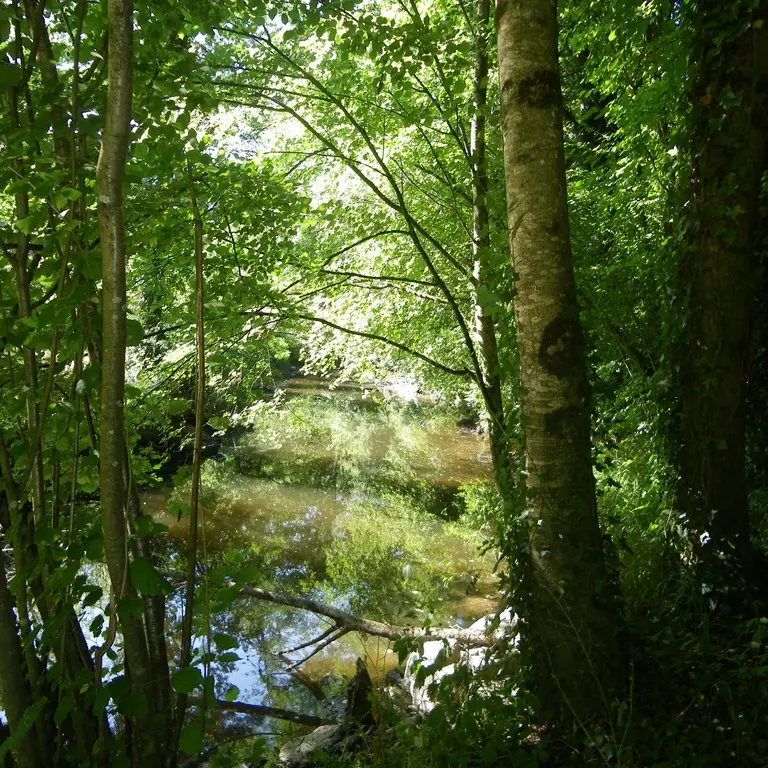 la-sangueze-le-pallet-44-PNA (1)