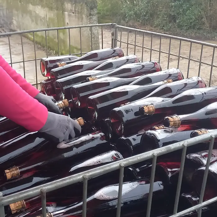 les vergers de la rouérie2