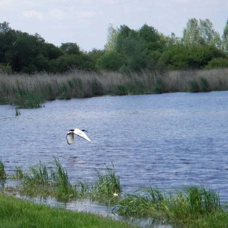 maison bleue haute goulaine
