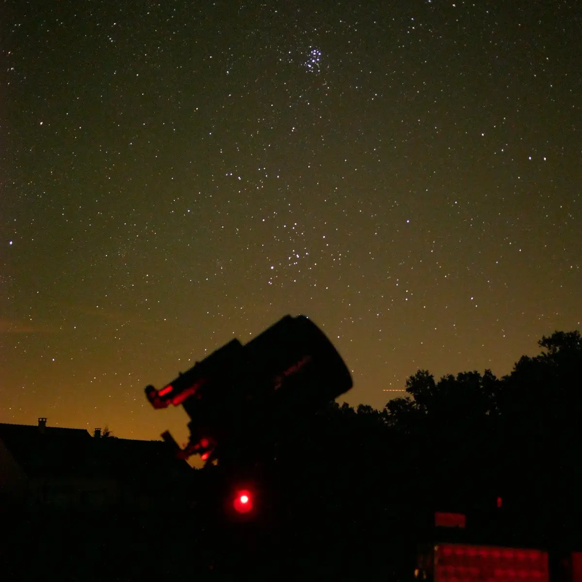 observation bazoge Mickael 1