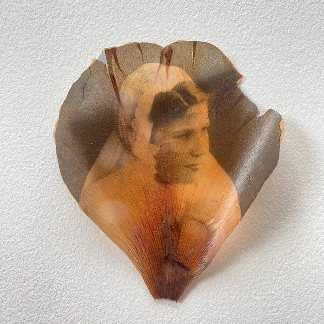 Inconnue, Photo transfert sur pétale