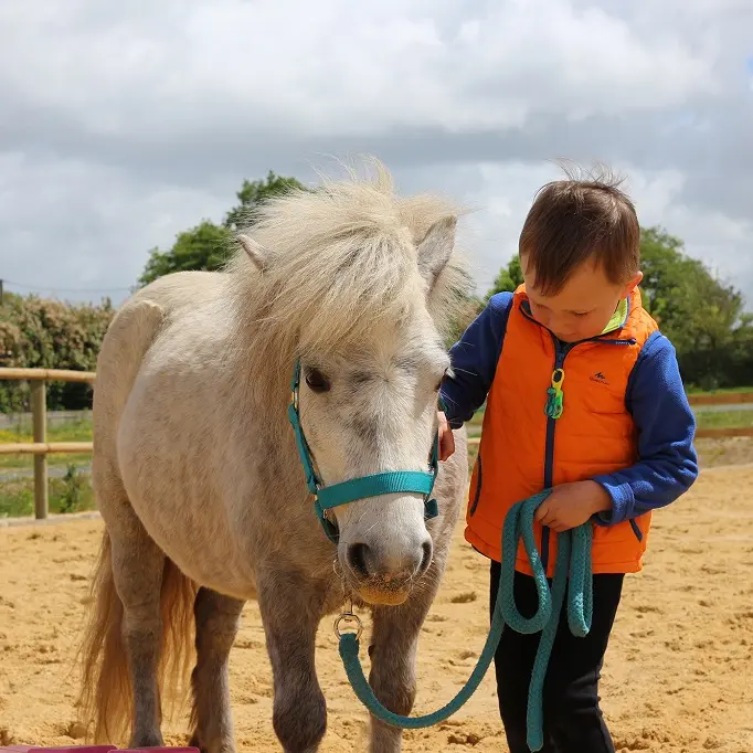 poney-vignes-en-selle-st-crespin-sur-moine-sevremoine-nantes-cholet-clisson