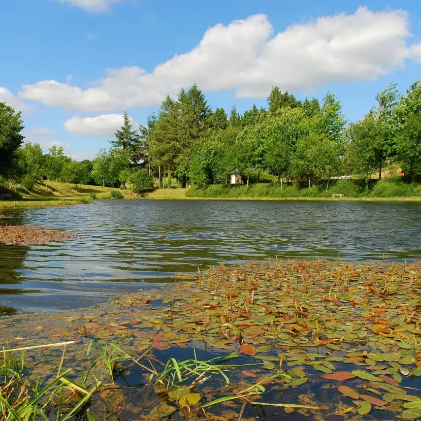 plan-d-eau-saint-mars-sur-la-futaie-53-loi-2
