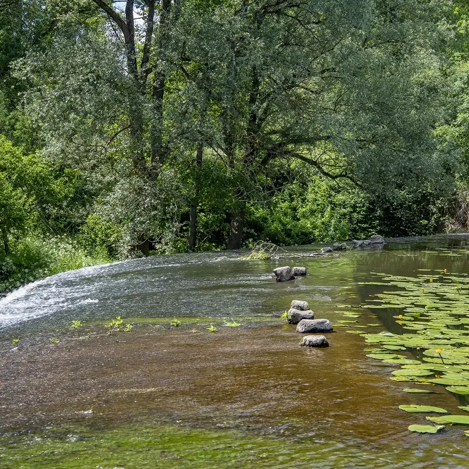 bena-balades-en-nature-accompagnée-sevremoine