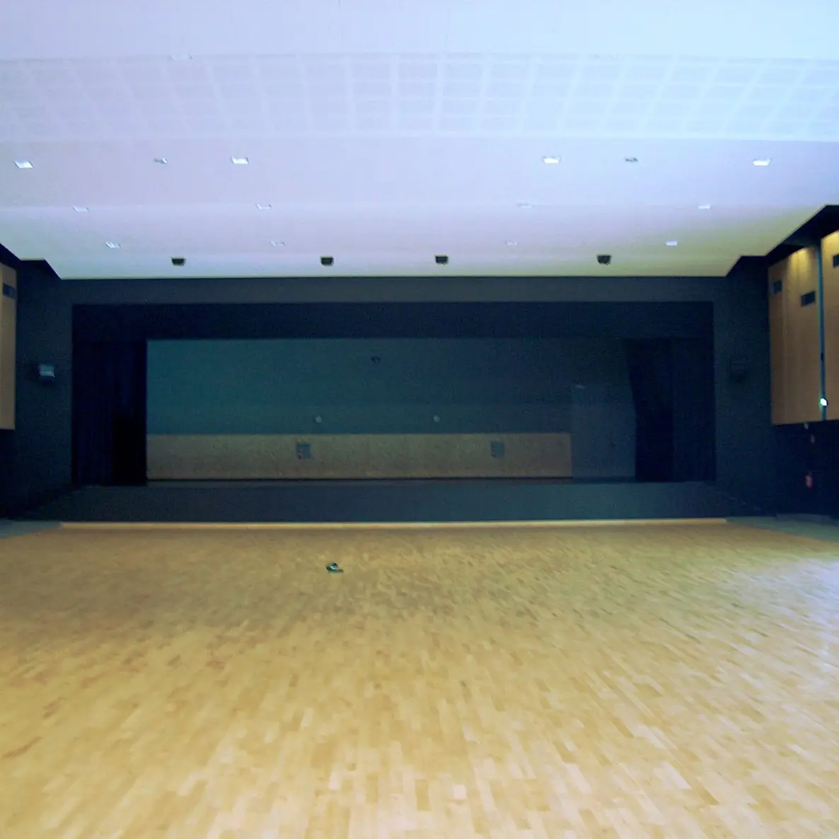 Salle Carmen de l'Espace Colmont