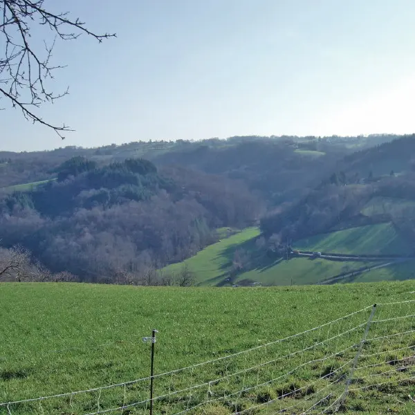 Sur les Hauteurs de Terrou