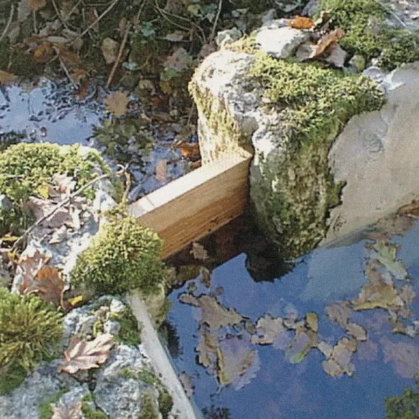 Valprionde : Rivière de Paillas