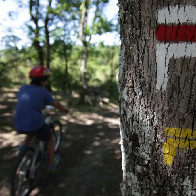 VTT sur le Causse