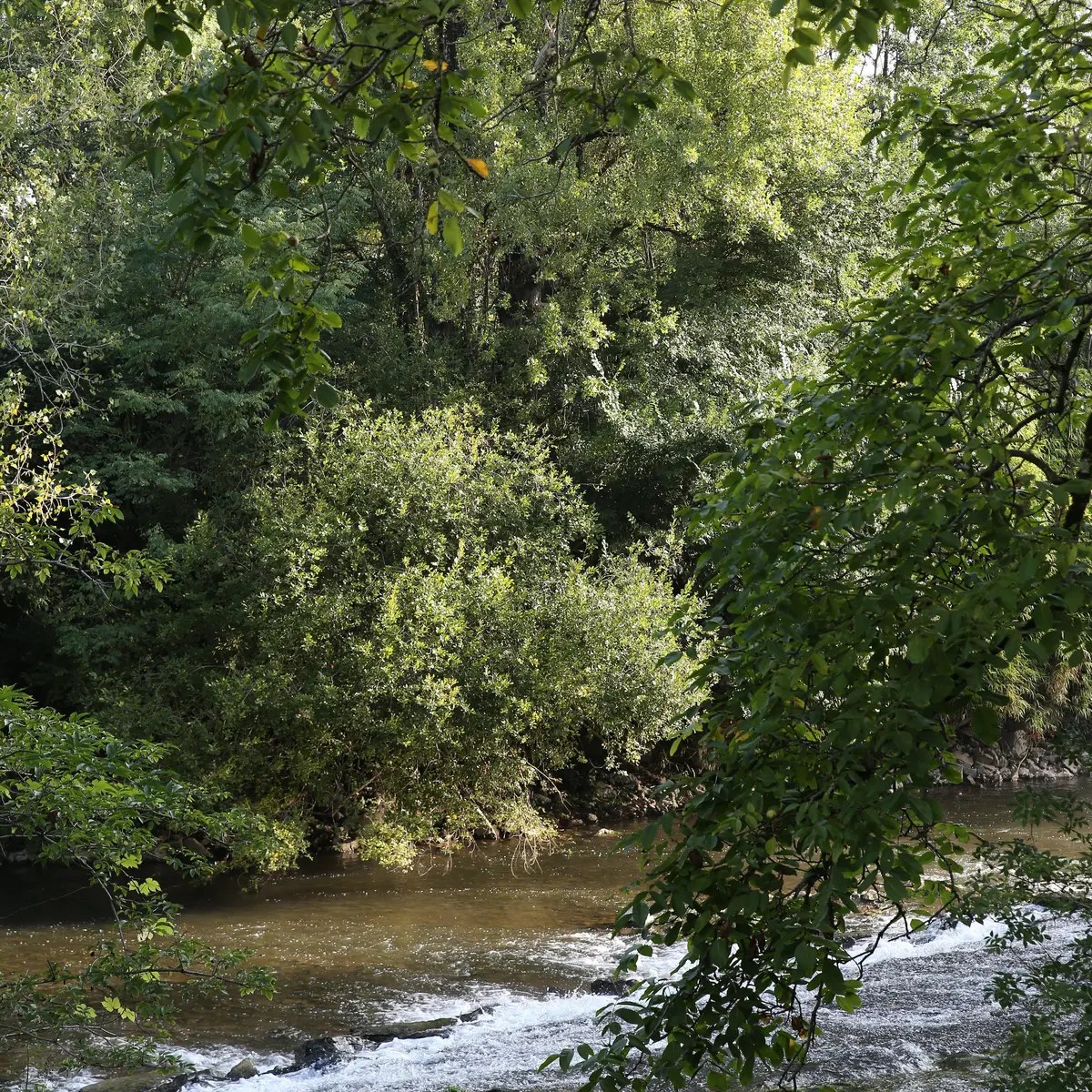 Boussac - Le Célé © Jerôme Morel
