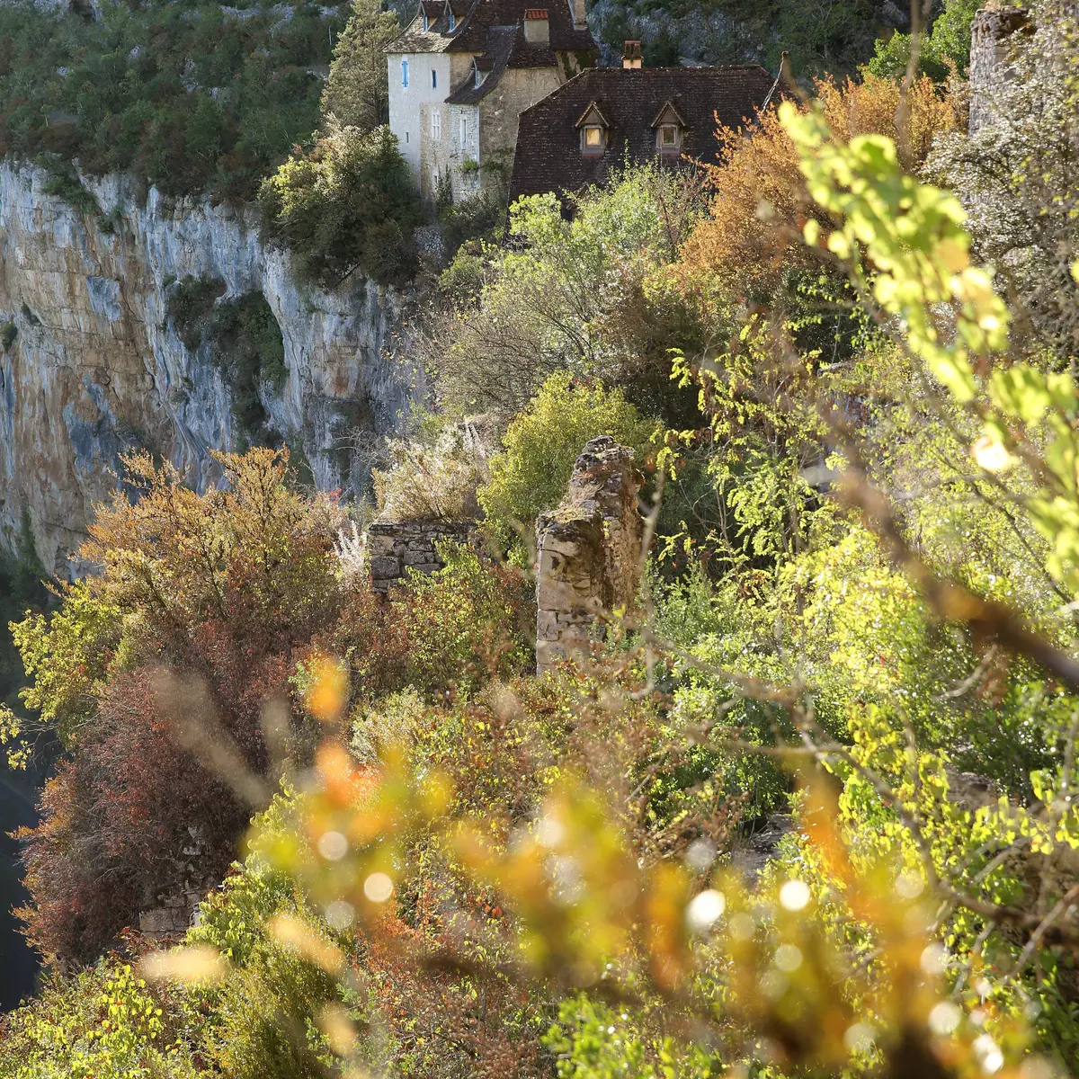 Falaises de Sauliac