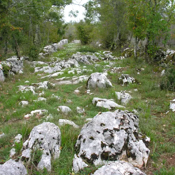 Lapiz au Coeur du Parc Naturel Régional des Causses du Quercy