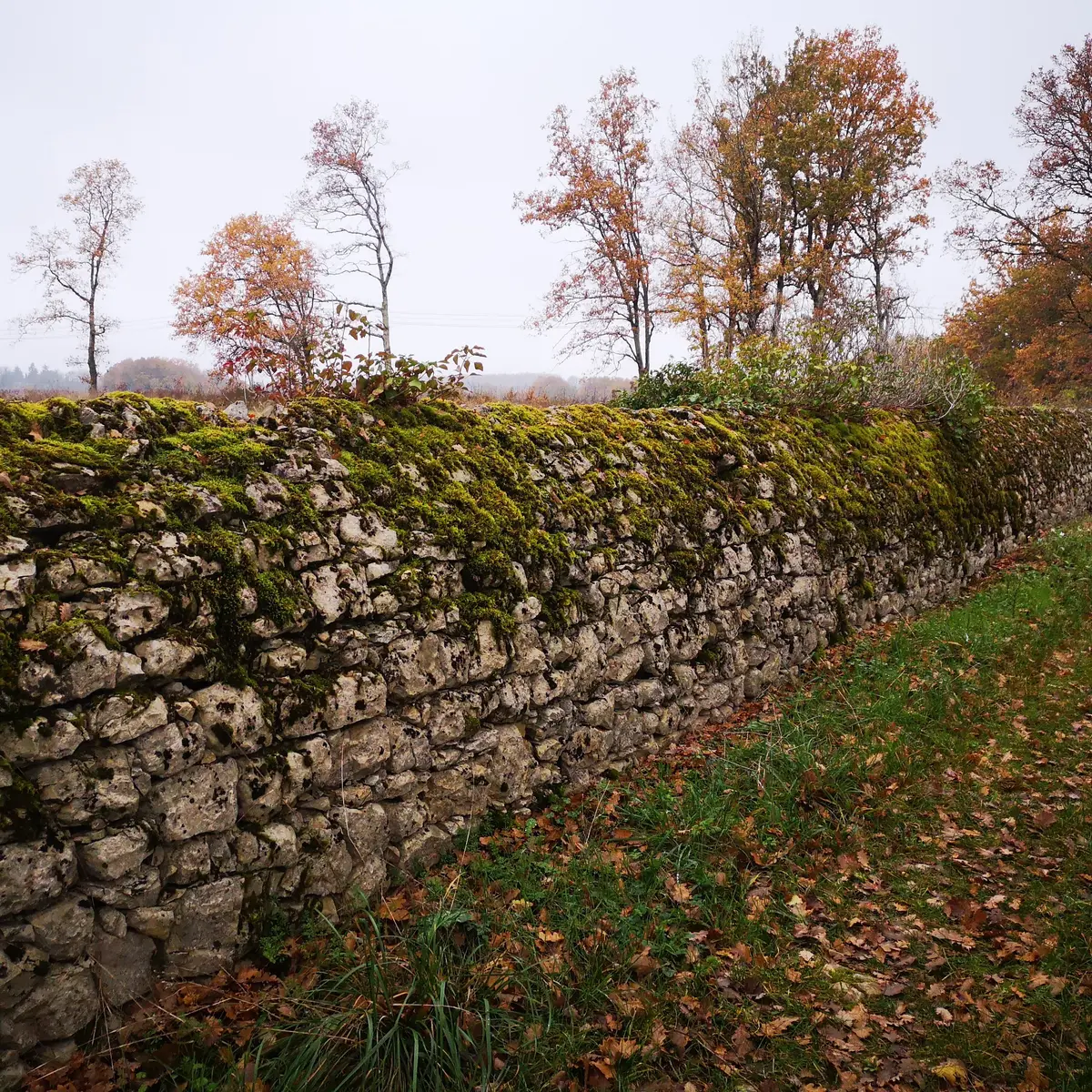 211126_Muret Lacapelle -