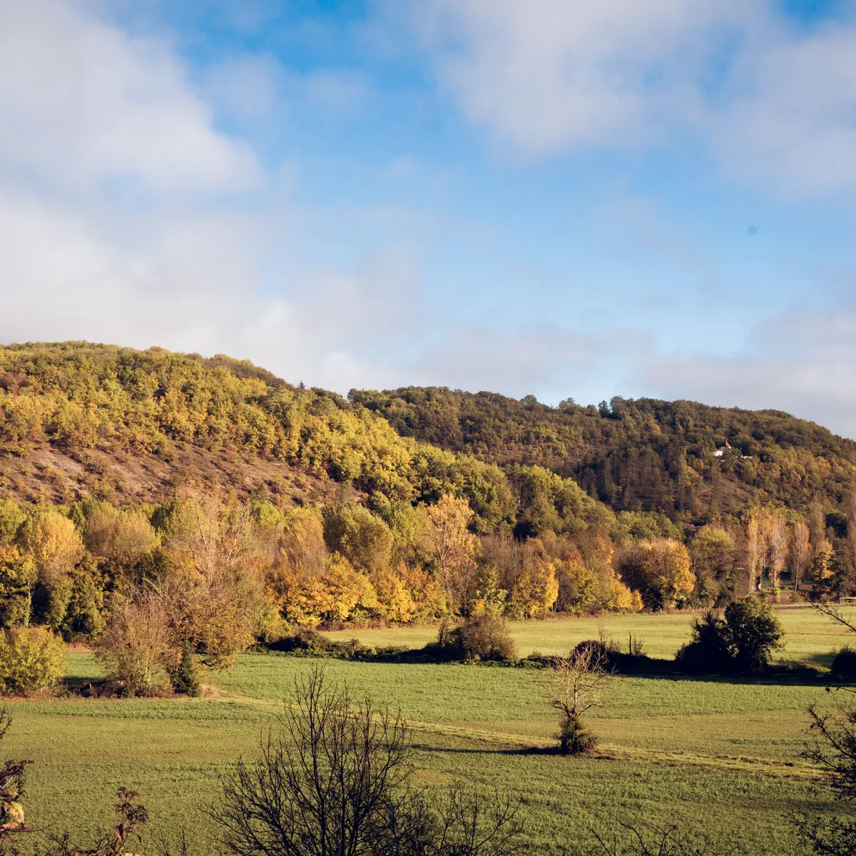 Balade dans les bois en automne