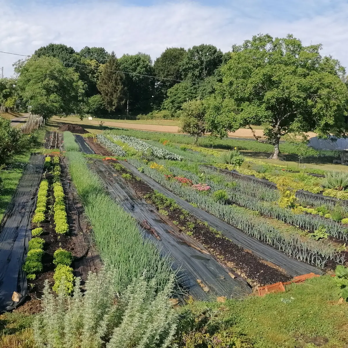 Les jardins d'antan-abussac-potager