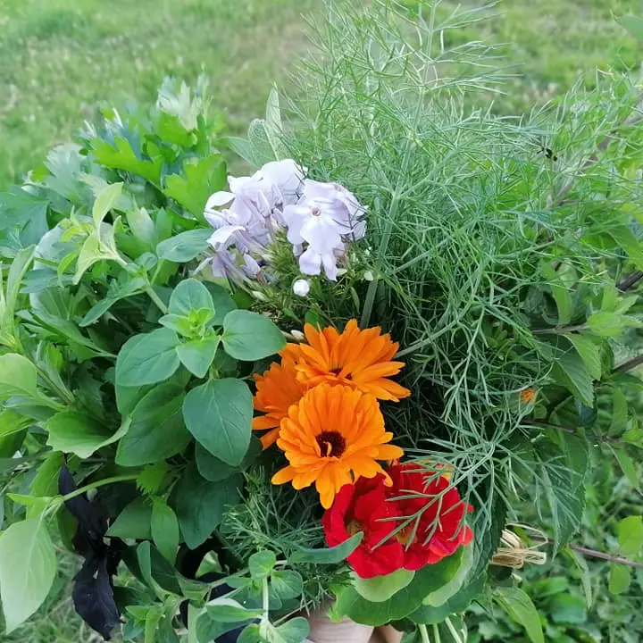 Les jardins d'antan-abussac-fleurs et plantes aromatiques