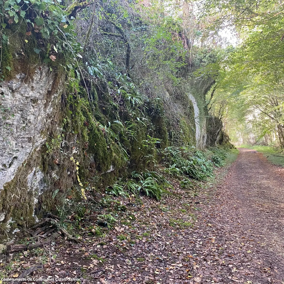 Chemin - La Thèze