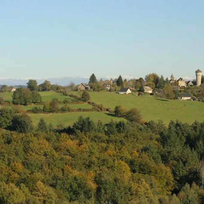 vue sur mont du cantal