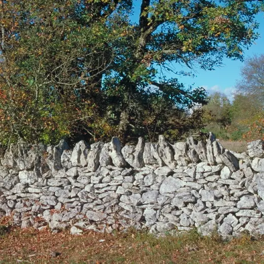 Muret de Pierres Sèches