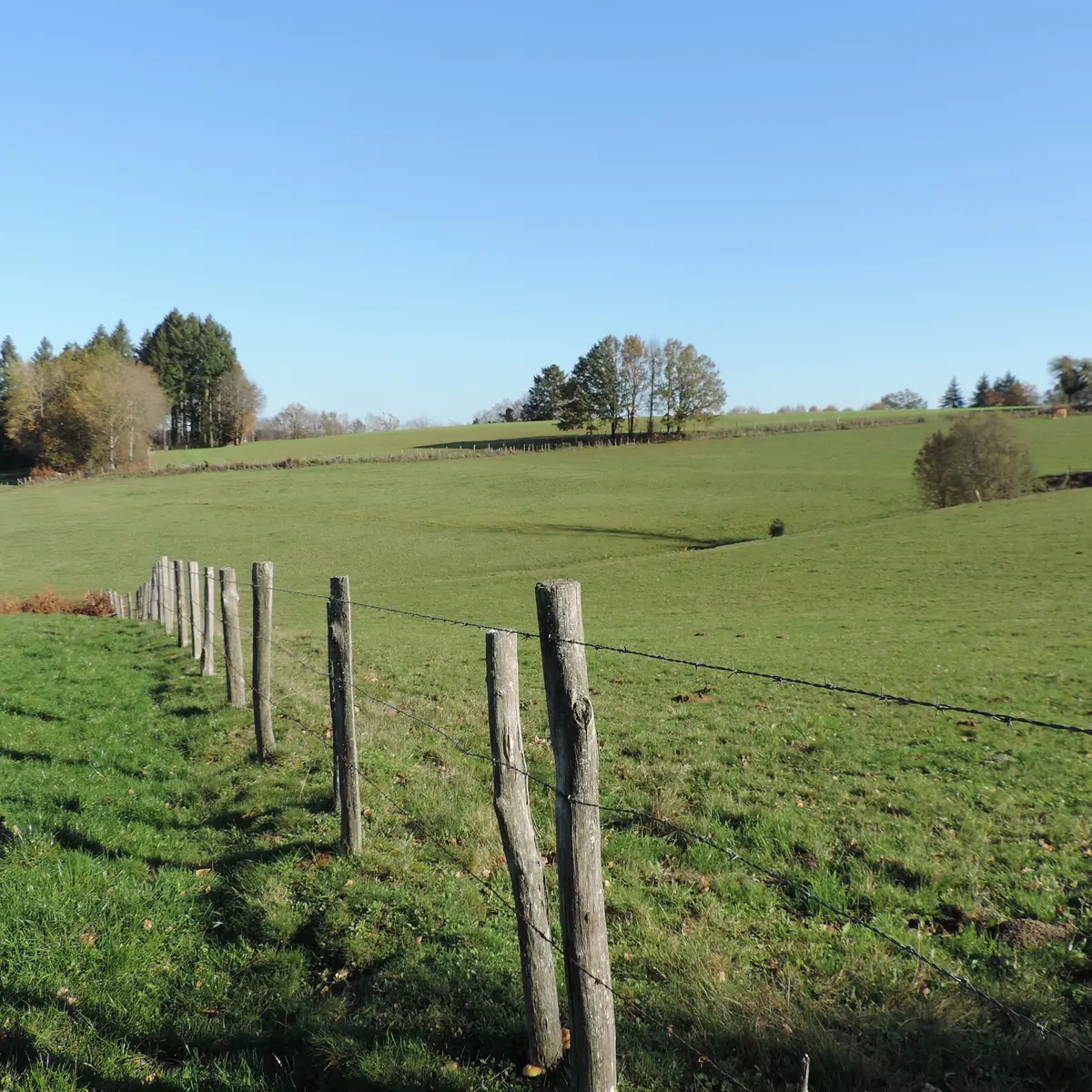 Argentat Moulinots - paisible environnement