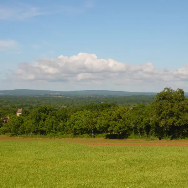 Paysage de Limargue