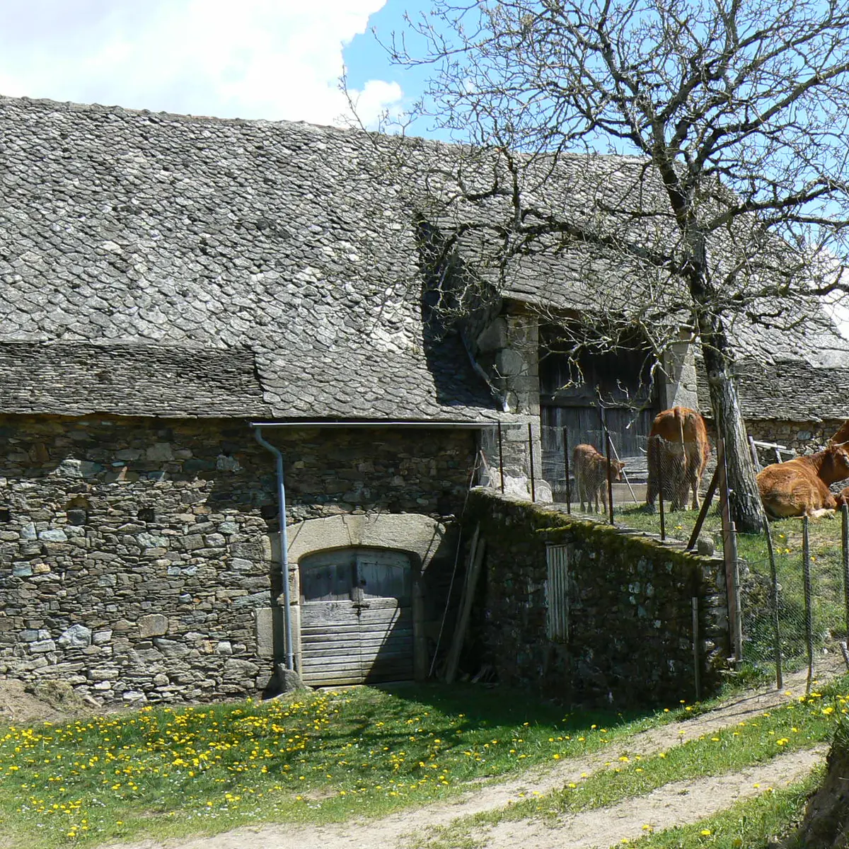 Cahus grange - circuit la boucle du ségala