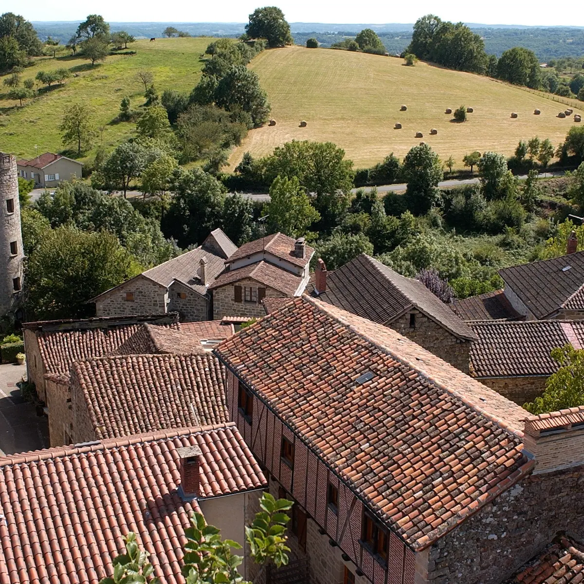 Cardaillac