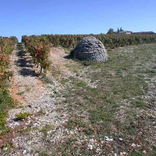 Trespoux Rassiels : Abri en Pierres Sèches sur le Vignoble