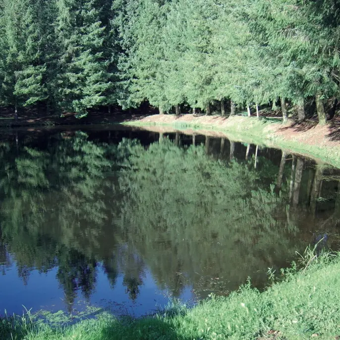 Latronquière : Etang du Roc