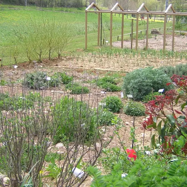 Jardin Bourian