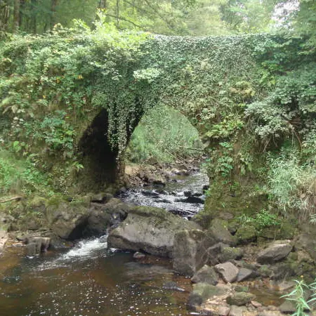 Comiac : Vieux Pont