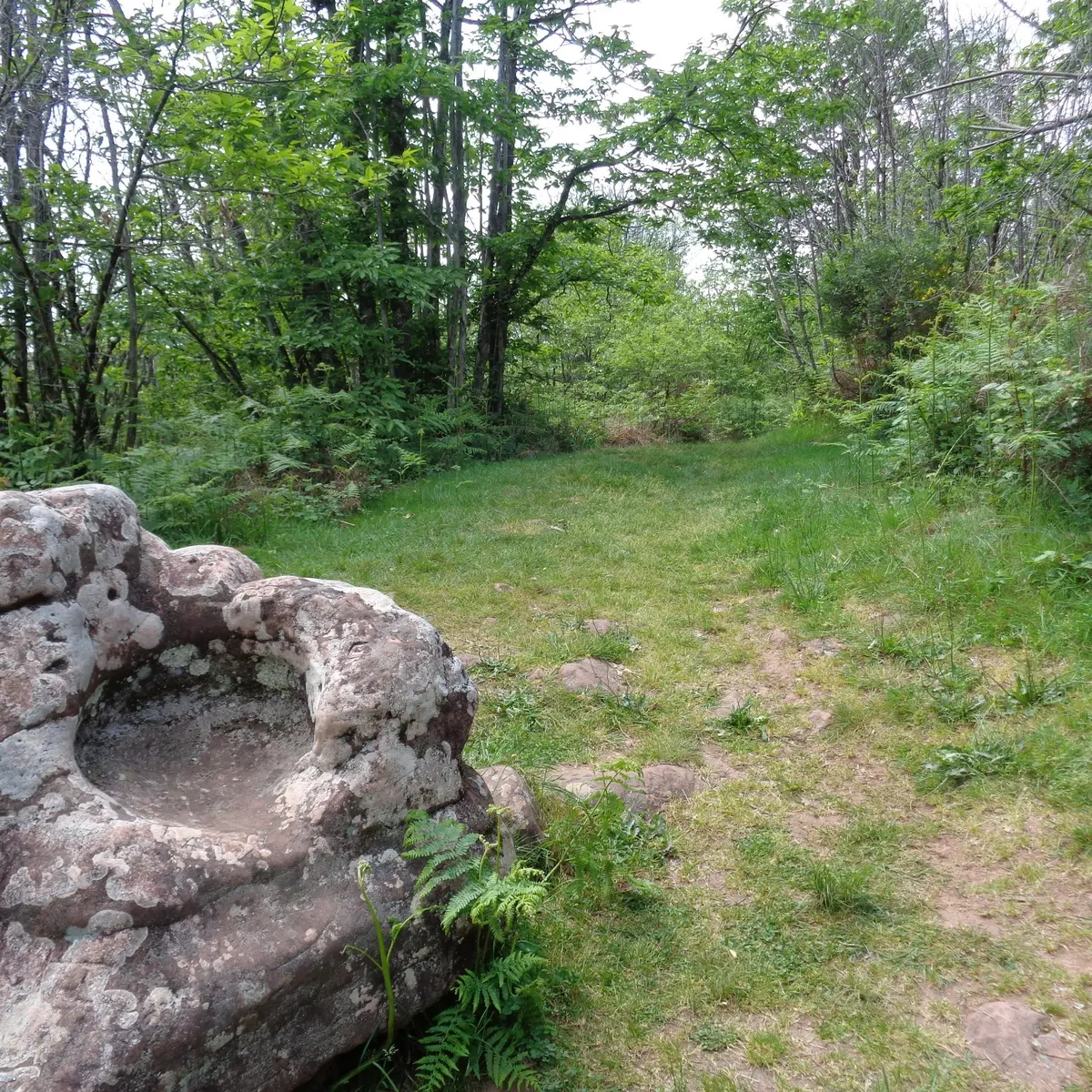 Collonges chaise du diable 4 - VTT